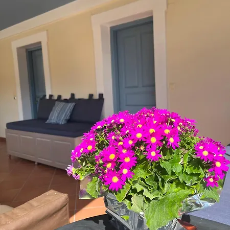 Aparthotel Mira Mare Hotel, Galaxídhion