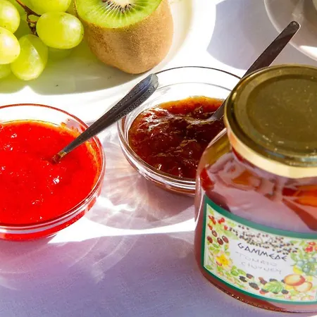 Mira Mare Hotel, Appart hôtel Galaxídhion